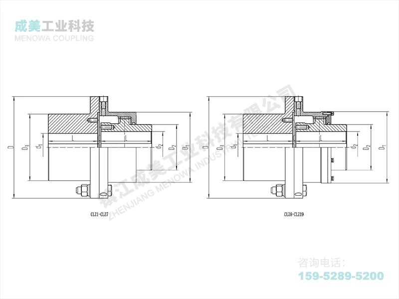 CLZ Drum Gear Coupling