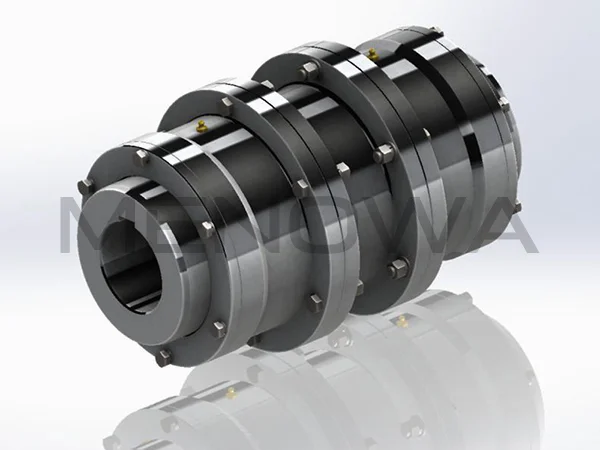 WGT Drum Gear Coupling